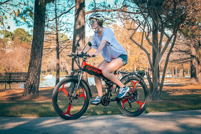 XF770  Faltrad Elektrofahrrad