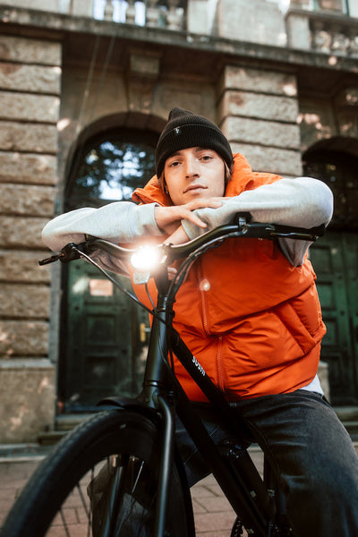 E-Bike California Roll 3.0