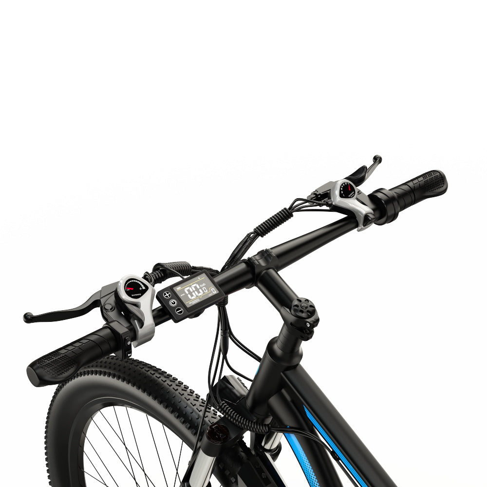 DUOTTS C29 29 Zoll Elektro-Mountainbike