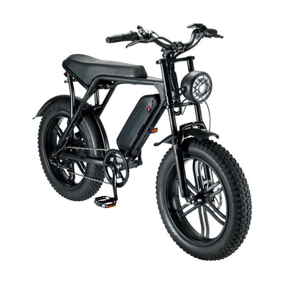 20 Zoll All-Terrain Elektrofahrrad mit Fetten Reifen