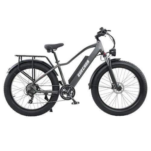 BURCHDA RX20 All-Terrain-Fat-Tire-Elektrofahrrad