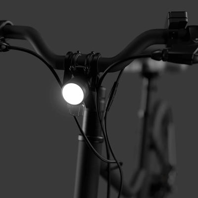 E-Bike California Roll 3.0