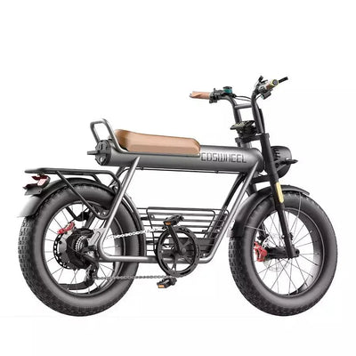 Coswheel CT20 Cargo-Elektrofahrrad