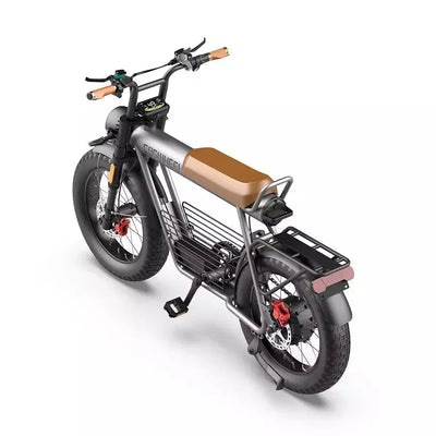 Coswheel CT20 Cargo-Elektrofahrrad