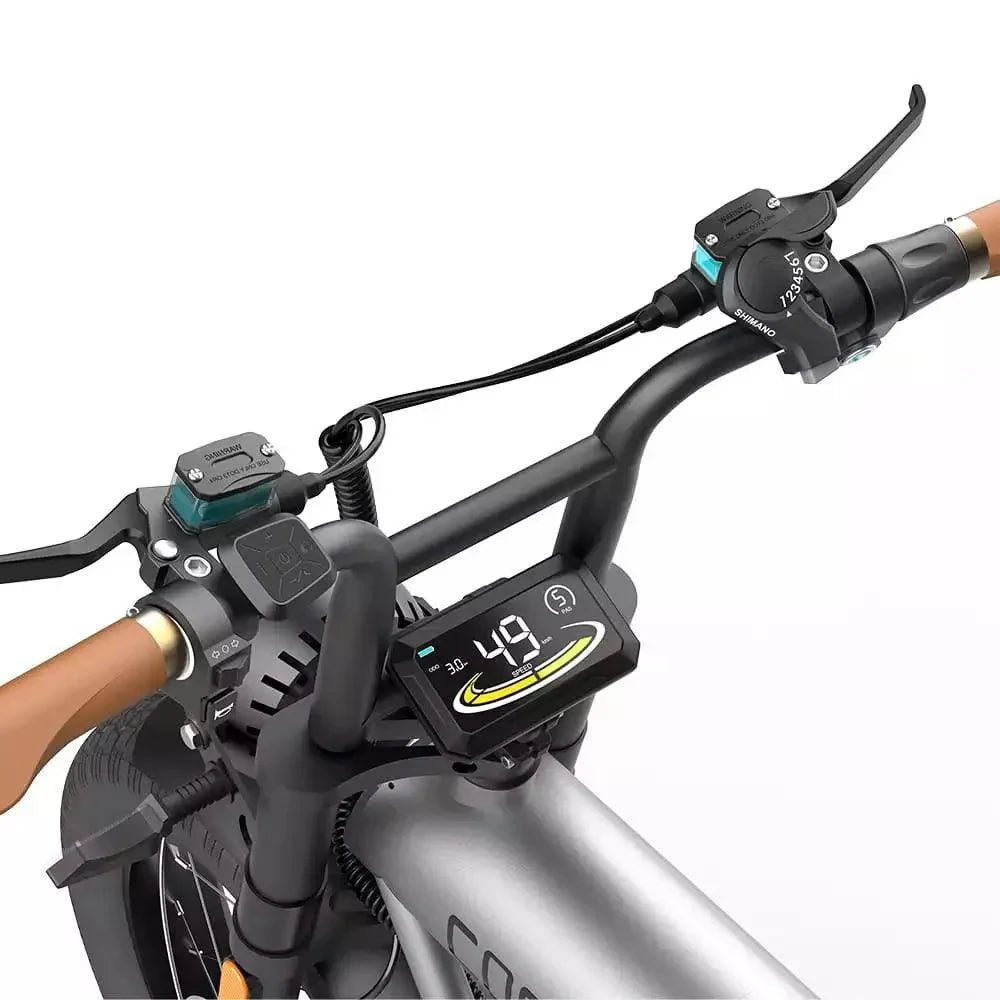 Coswheel CT20 Cargo-Elektrofahrrad