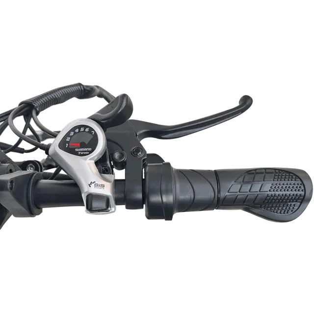 DeVotion At 20 Elektro-Fatbike