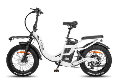 Fafrees F20 X-Max Elektrofahrrad