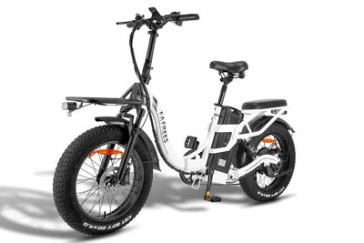 Fafrees F20 X-Max Elektrofahrrad