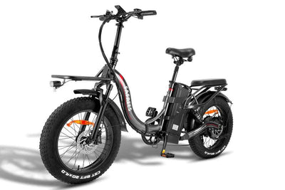 Fafrees F20 X-Max Elektrofahrrad