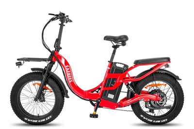 Fafrees F20 X-Max Elektrofahrrad