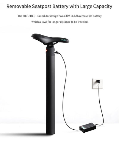 FIIDO D11 Elektro-Mountainbike mit Schutzblech und Licht