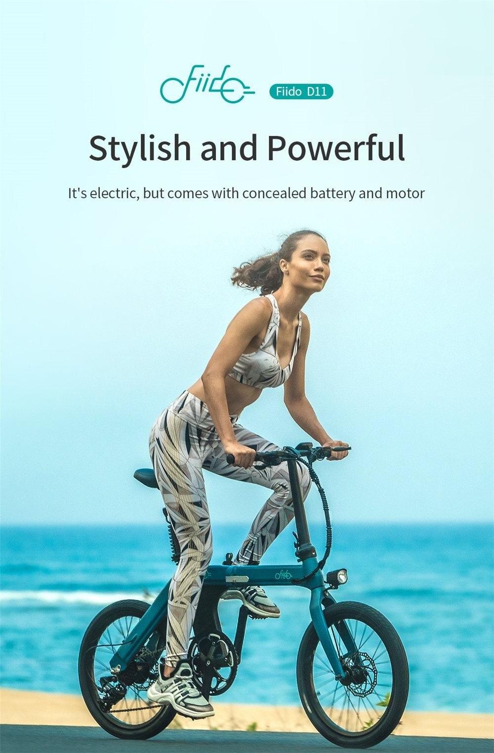 FIIDO D11 Elektro-Mountainbike mit Schutzblech und Licht