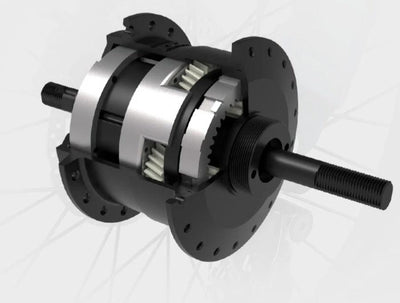 FIIDO D21 faltbares Elektrofahrrad mit Schutzblech und Licht