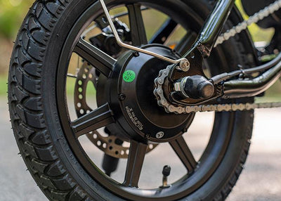 FIIDO D3 PRO Elektrofahrrad mit Schutzblech und Licht