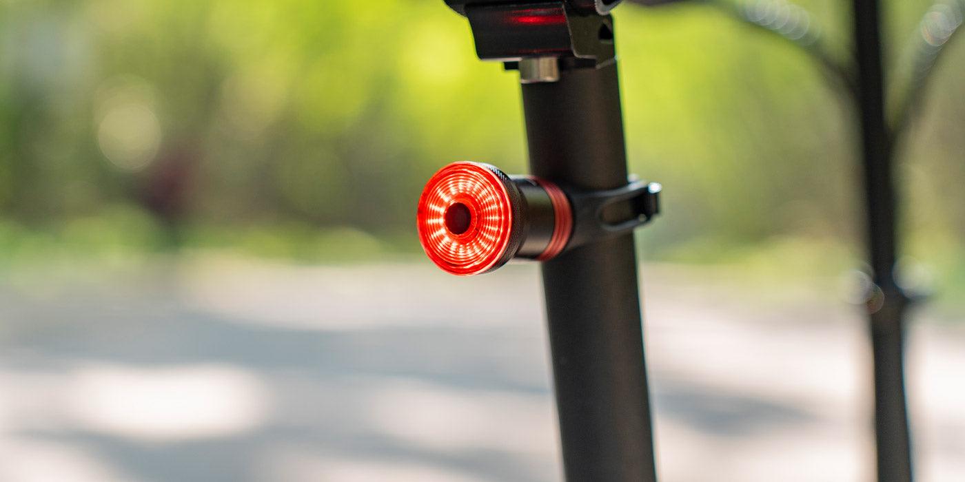 FIIDO D3 PRO Elektrofahrrad mit Schutzblech und Licht