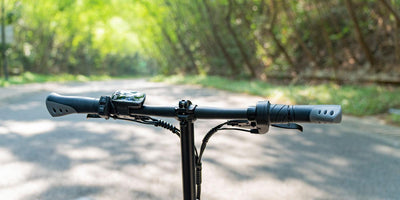 FIIDO D3 PRO Elektrofahrrad mit Schutzblech und Licht