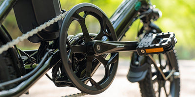 FIIDO D3 PRO Elektrofahrrad mit Schutzblech und Licht