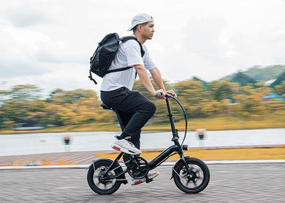 FIIDO D3 PRO Elektrofahrrad mit Schutzblech und Licht