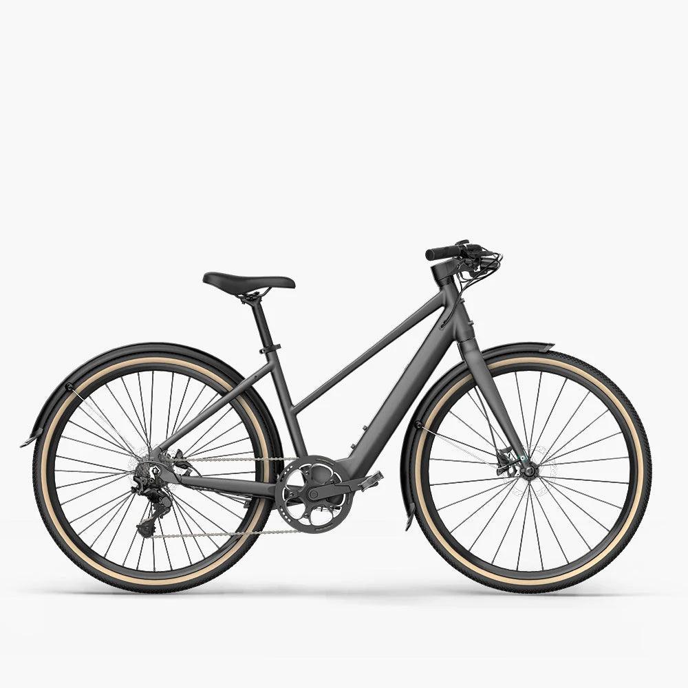 Fiido E-Gravel Elektrofahrrad