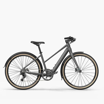 Fiido E-Gravel Elektrofahrrad