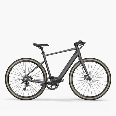 Fiido E-Gravel Elektrofahrrad