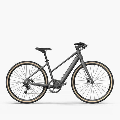 Fiido E-Gravel Elektrofahrrad