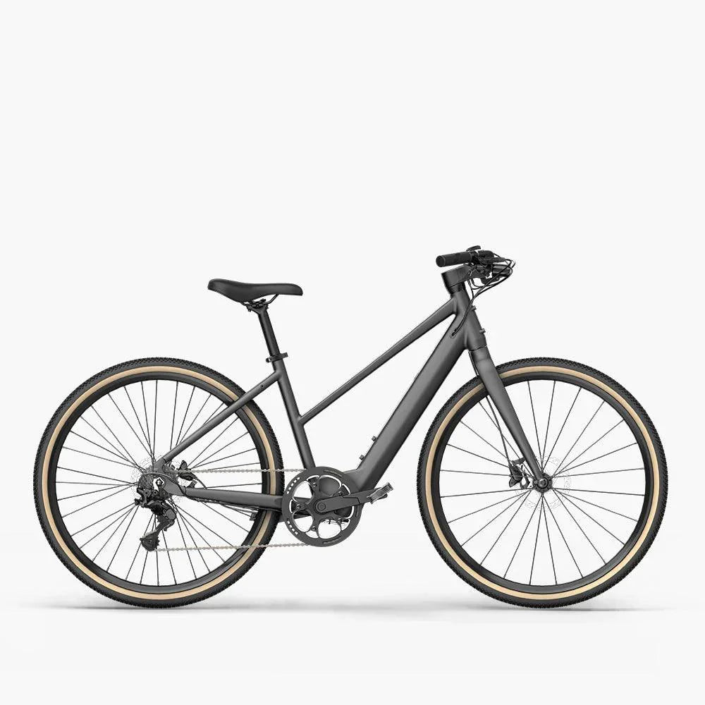 Fiido E-Gravel Elektrofahrrad