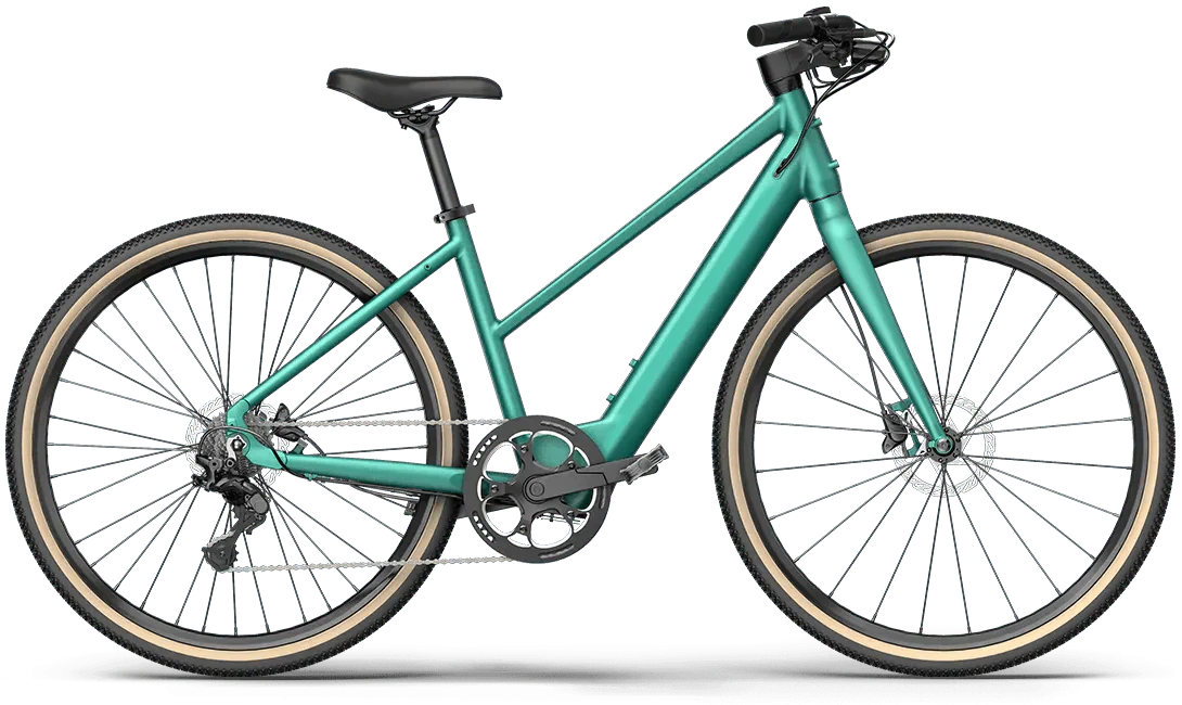 Fiido E-Gravel Elektrofahrrad