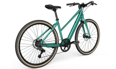 Fiido E-Gravel Elektrofahrrad