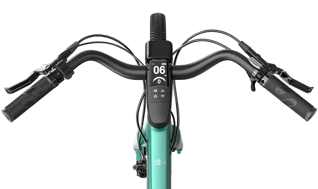 Fiido E-Gravel Elektrofahrrad