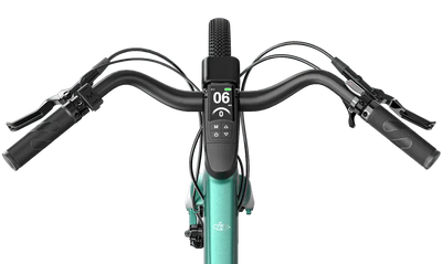 Fiido E-Gravel Elektrofahrrad