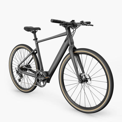 Fiido E-Gravel Elektrofahrrad