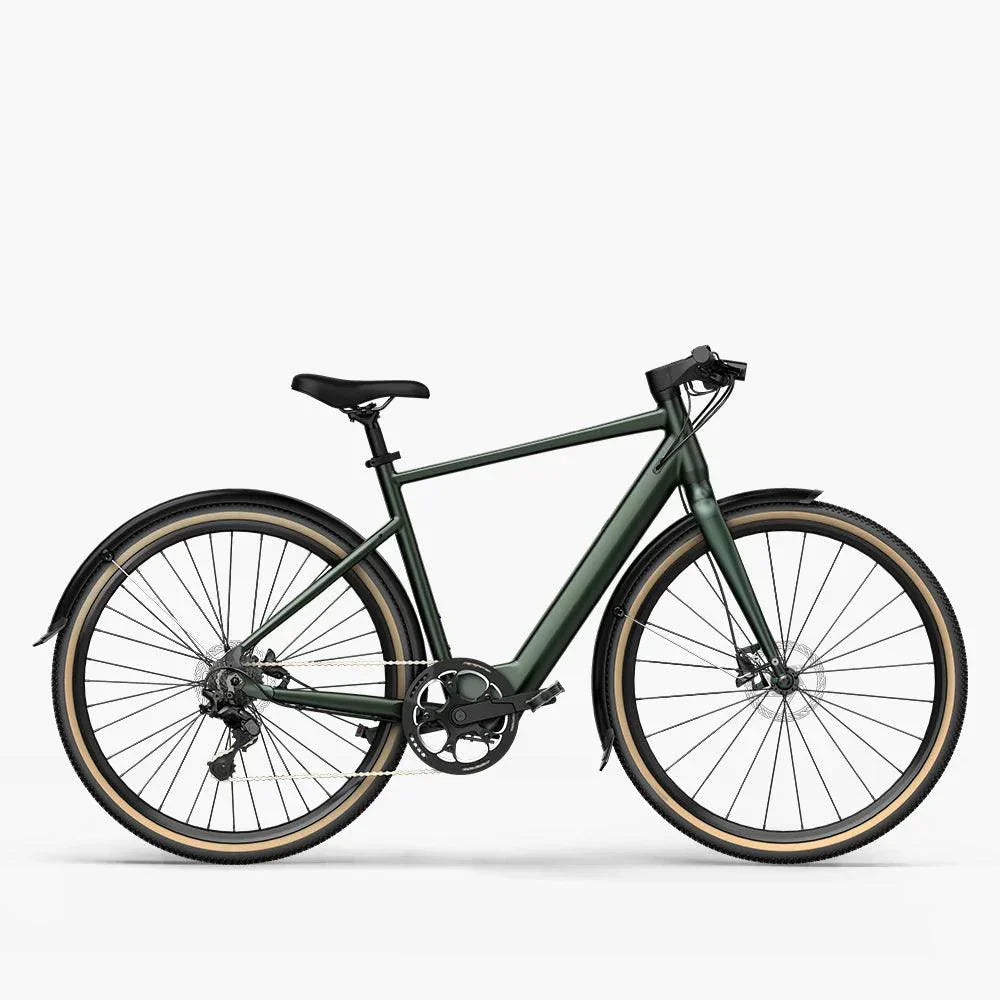 Fiido E-Gravel Elektrofahrrad