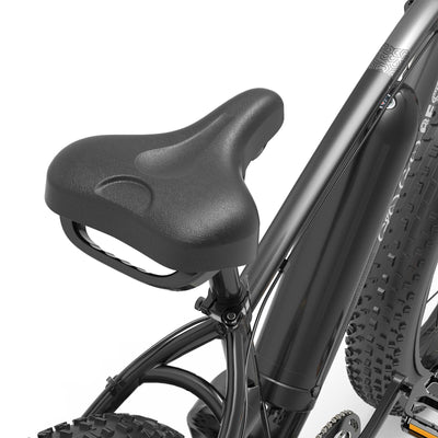 GOGOBEST GF600 Elektrofahrrad