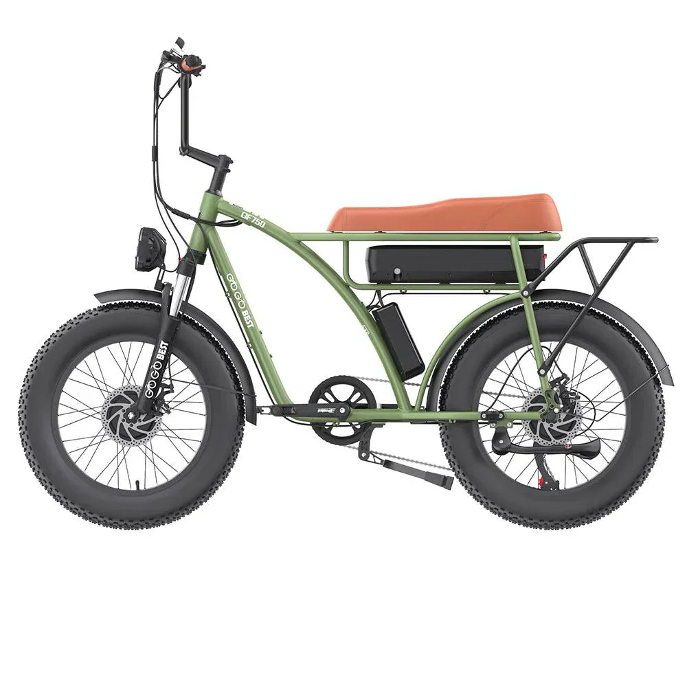 GOGOBEST GF750 Elektrofahrrad