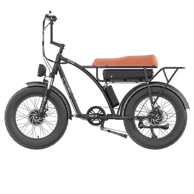 GOGOBEST GF750 Elektrofahrrad