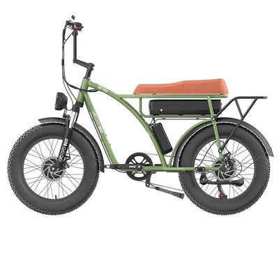 GOGOBEST GF750 Elektrofahrrad
