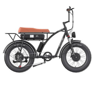 GOGOBEST GF750 Elektrofahrrad
