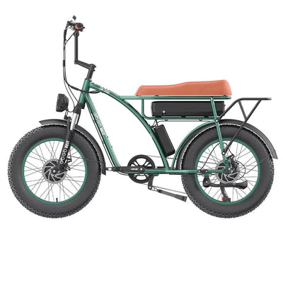 GOGOBEST GF750 Elektrofahrrad
