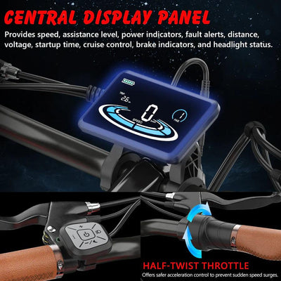 Hidoes B10 Elektrofahrrad