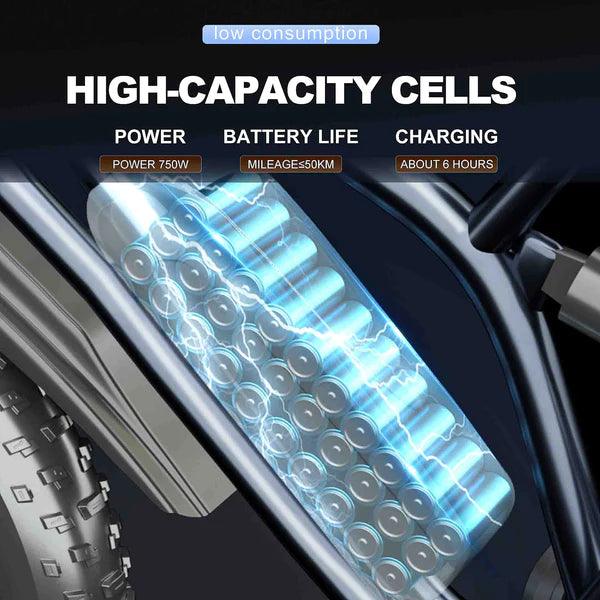 JANSNO X50 Elektro-Mountainbike