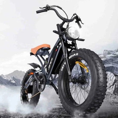 JANSNO X50 Elektro-Mountainbike