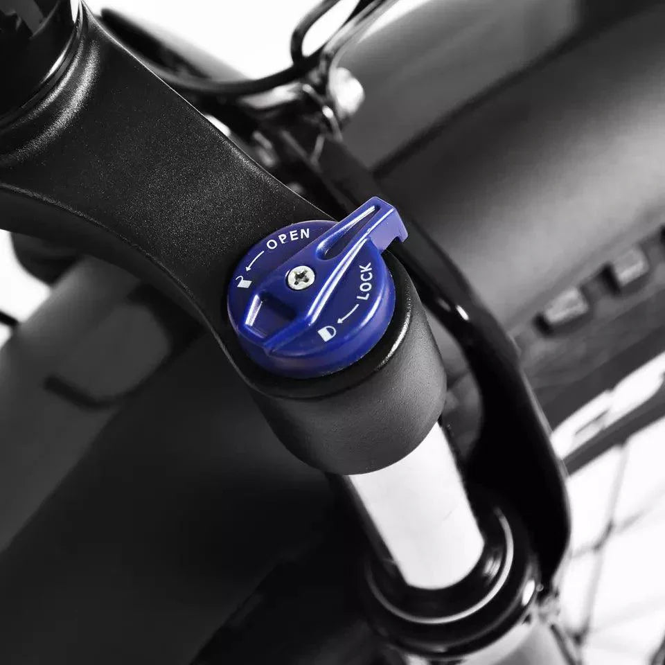 K2-P-Pro 750W Elektrofahrrad