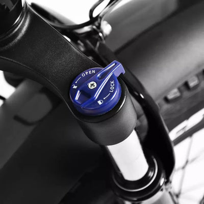 K2-P-Pro 750W Elektrofahrrad