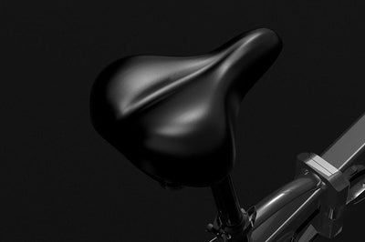 Lankeleisi G660 faltbares elektrisches Citybike