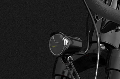 Lankeleisi MX600 Pro Elektrisches Trekkingrad