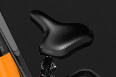 Lankeleisi MX600 Pro Elektrisches Trekkingrad