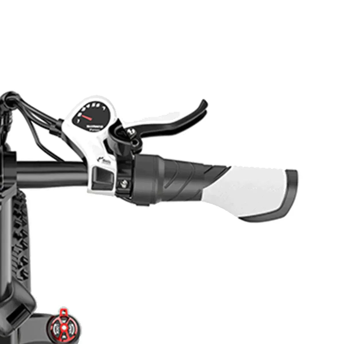 Lankeleisi RV700 Elektro-Mountainbike