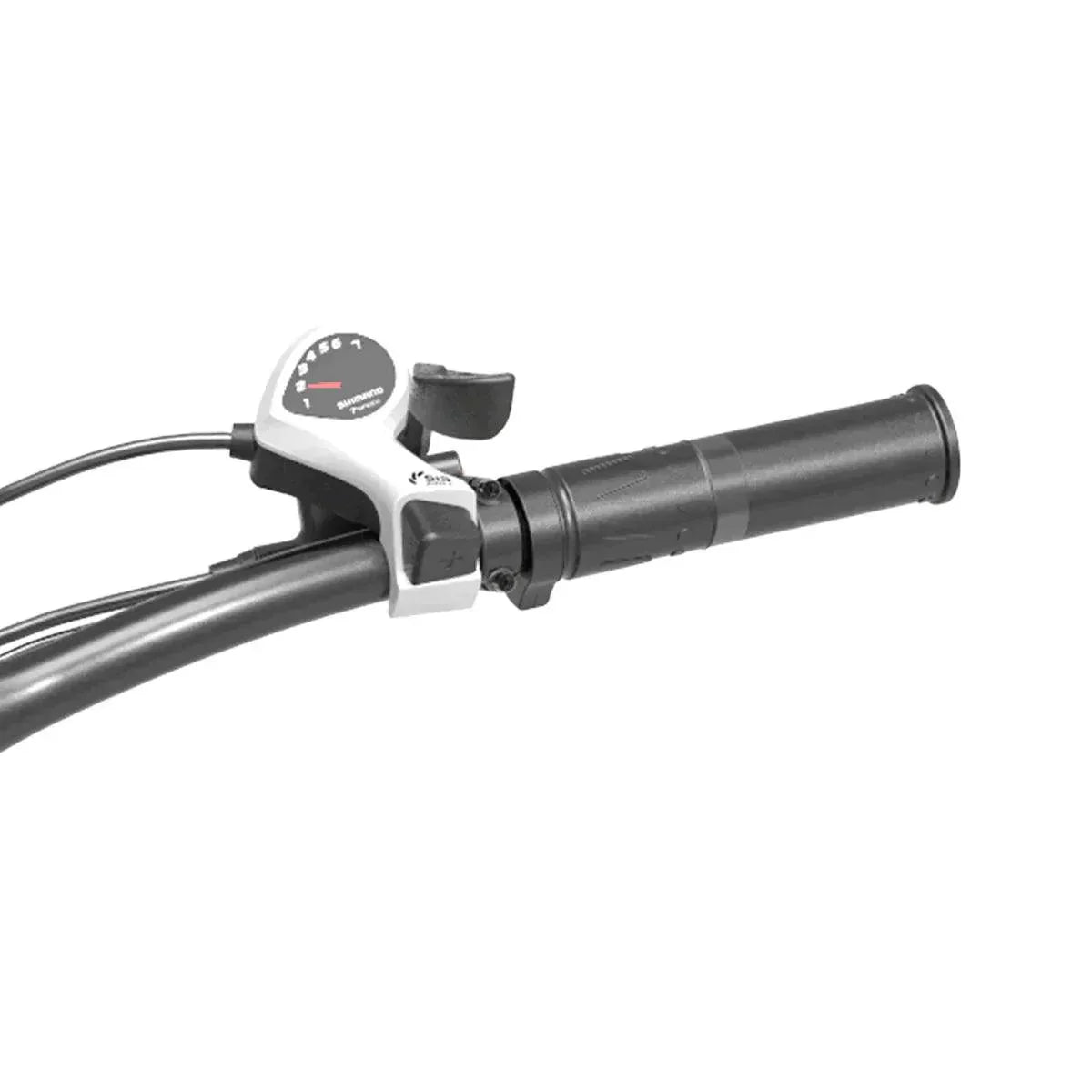 Lankeleisi XC4000 Fat Elektrofahrrad