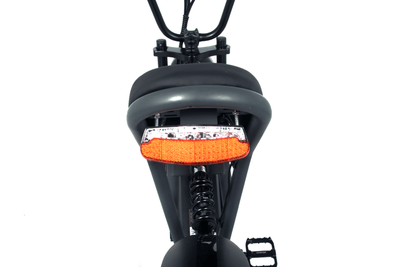 OneSport ONES3 Elektrofahrrad